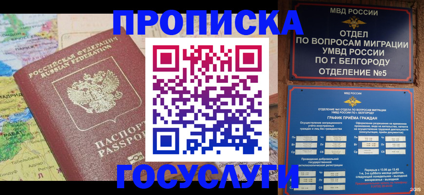 прописка регистрация в Палласовке